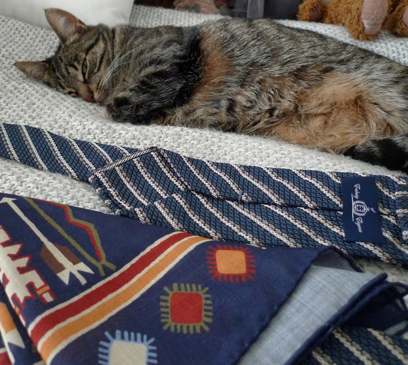 grenadyna + aztec kot wcale nie spał.jpg