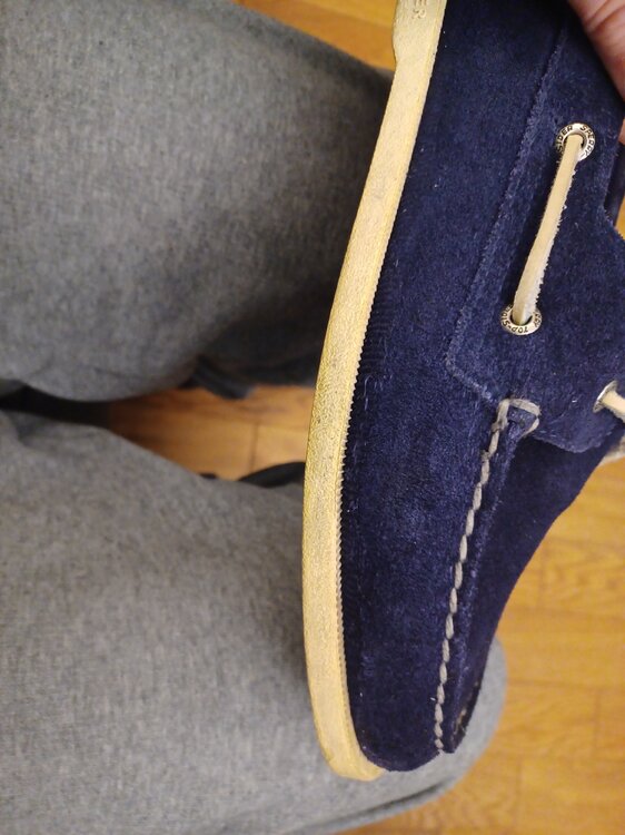 20250510_201223.jpg
